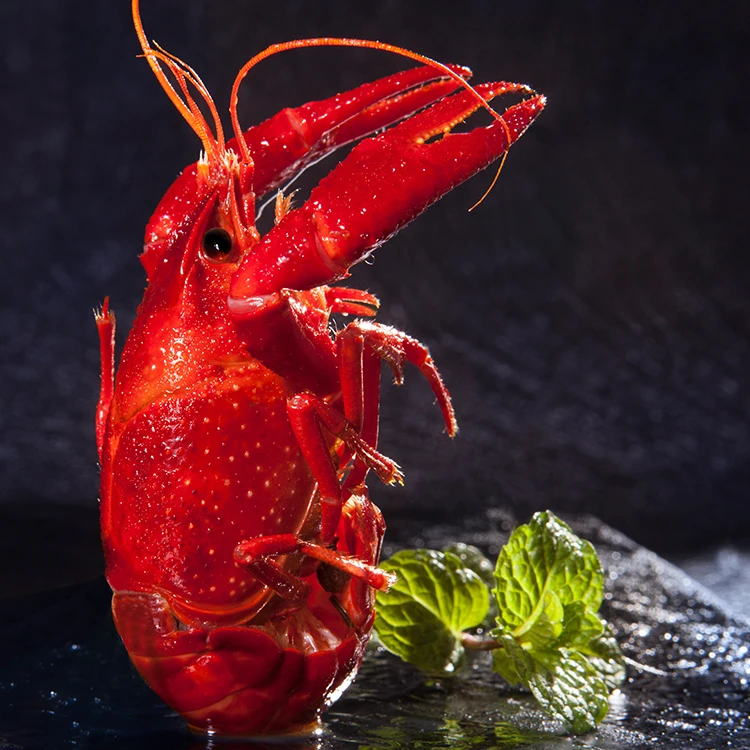 Shiweiku Branded Most Popular Wholesale Chinese Seafood Cooked Crayfish Frozen