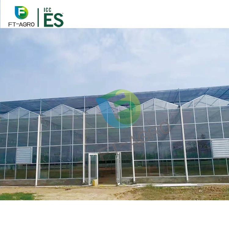 Hot Galvanized Steel Frame Multi Span Glass Greenhouse With Cooling System