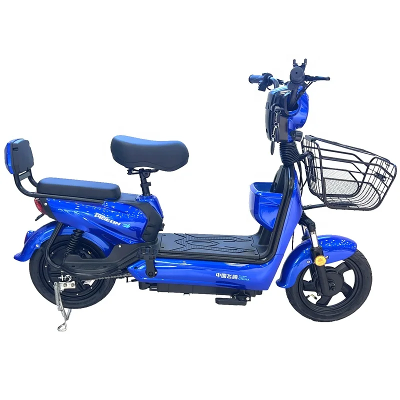 Свинцово-кислотная батарея электрический велосипед (FP-ES-LT2301)