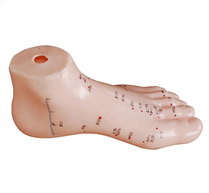 Foot Acupuncture Model 13CM PVC material foot acupoint model traditional chinese medicine massage