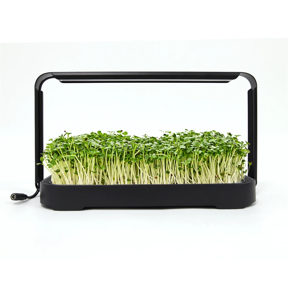 Система для выращивания растений