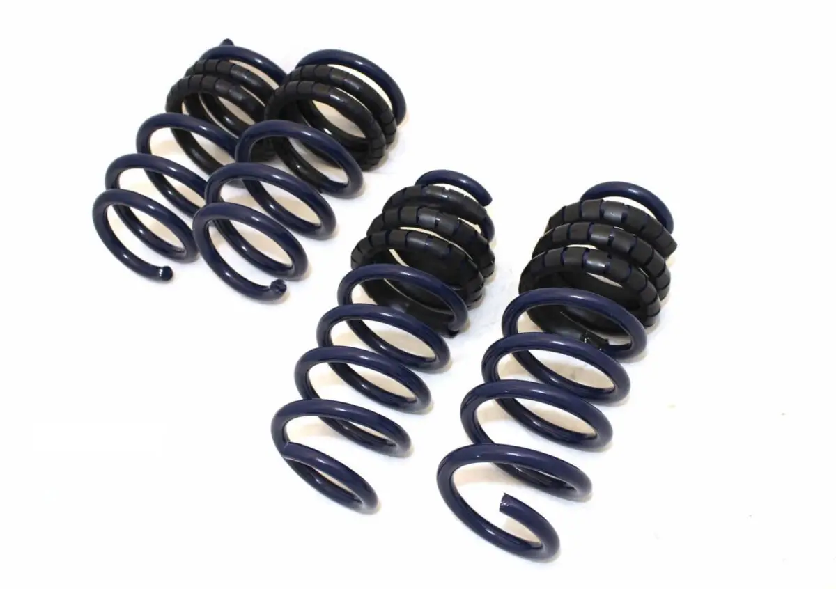 Guwo Suspension System Shock Absorber Spring Rear Coil Dual Rate Linear Lowering Set for Tesla Model
