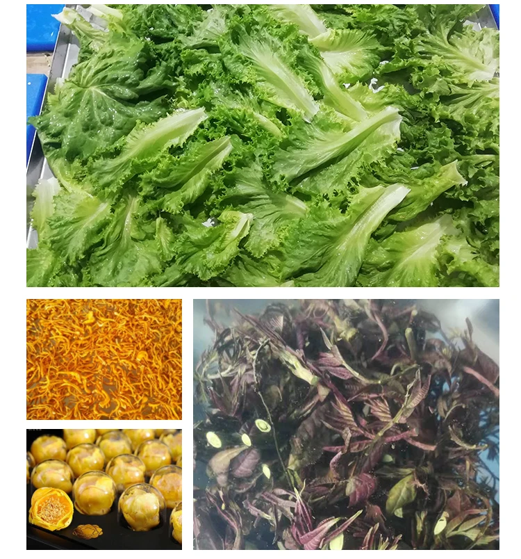 Mango tomato drying machine dry fruit meat dryer freeze drying machine