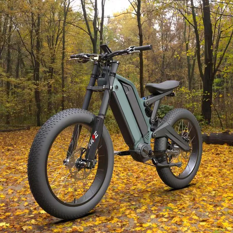 High quality New full suspension electric bicycle/ Dual battery electric bike