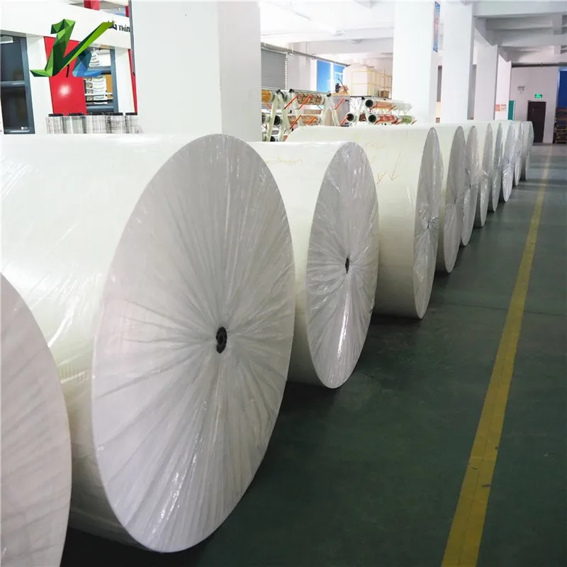 
Free Sample Pe Coated Paper Cup Raw Material For Making Paper Cup For Coffee, Tea 