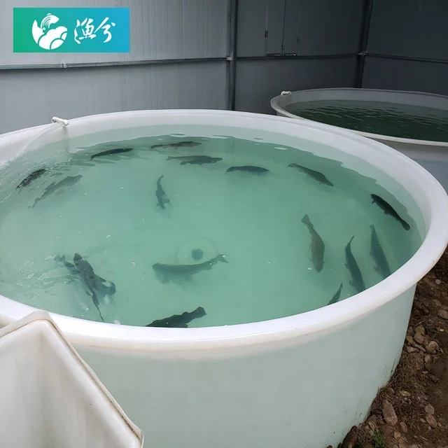 
High-density salmon pp fish pond circulating water indoor breeding system 