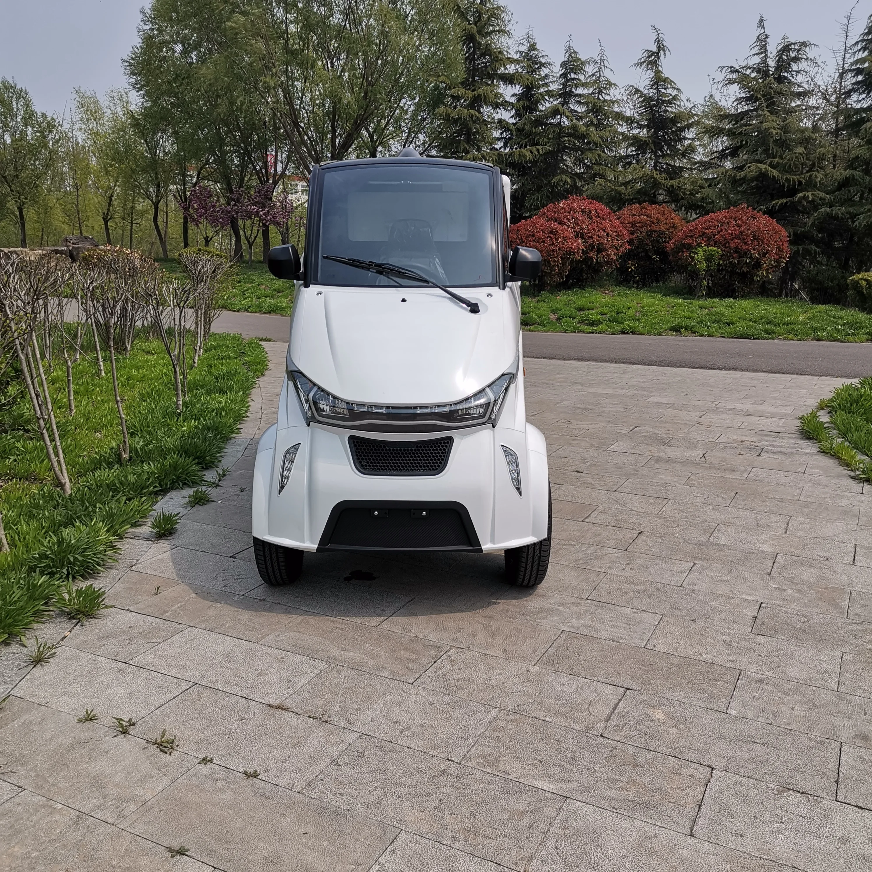 Маленький Электрический Грузовой автомобиль без водительского удостоверения на