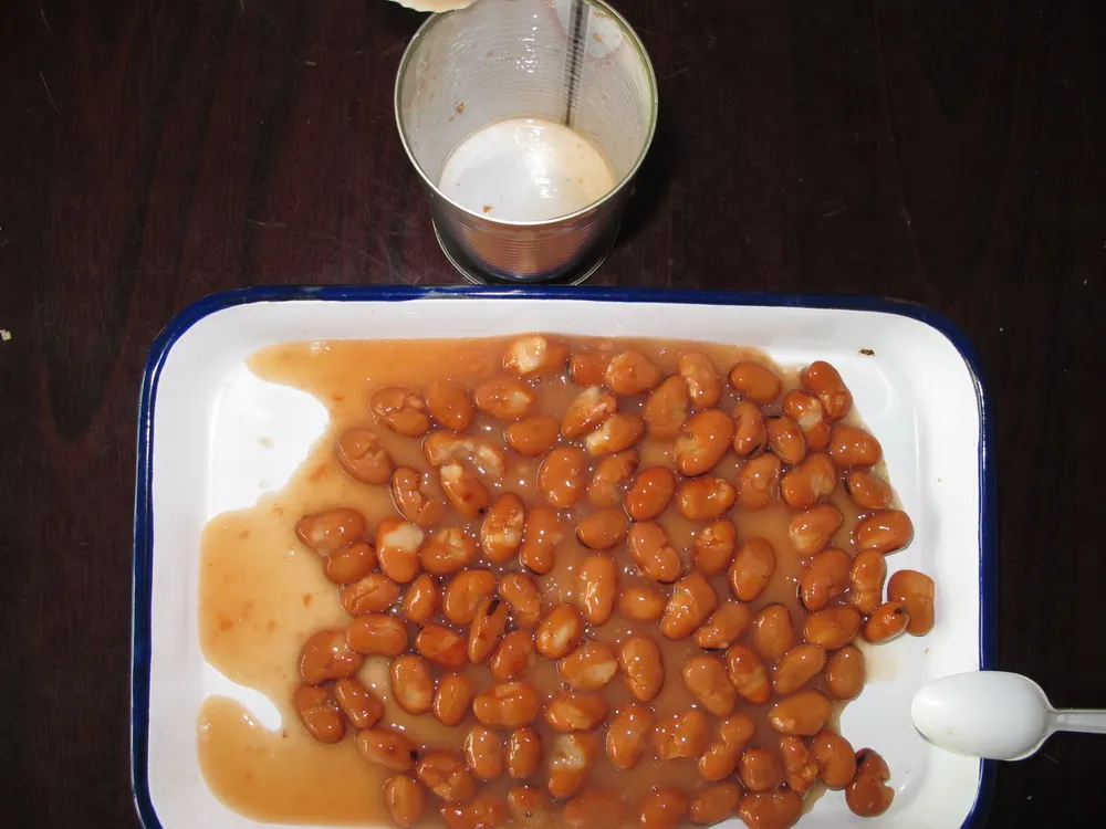Chinese Factory Wholesale 397g canned broad beans canned foul medames