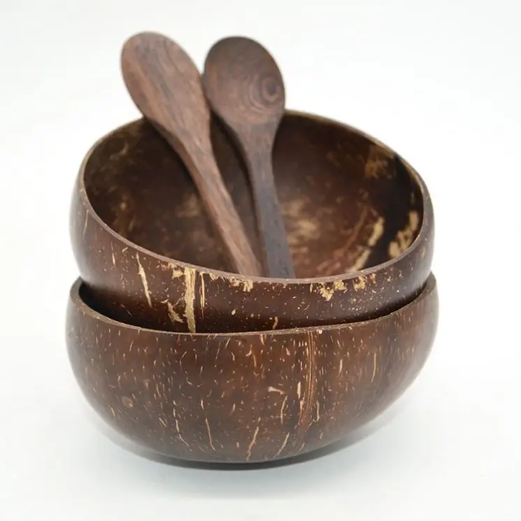 Fashion Attractive Design Competitive Price Coconut Bowl Set For Summer Smoothie
