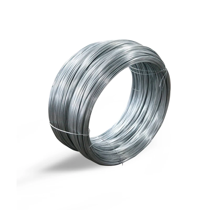 Factory Sales Champion AISI 304 316 410 430 0.7mm 0.8mm 0.9mm 1.0mm-5.5mm Stainless Steel Wire