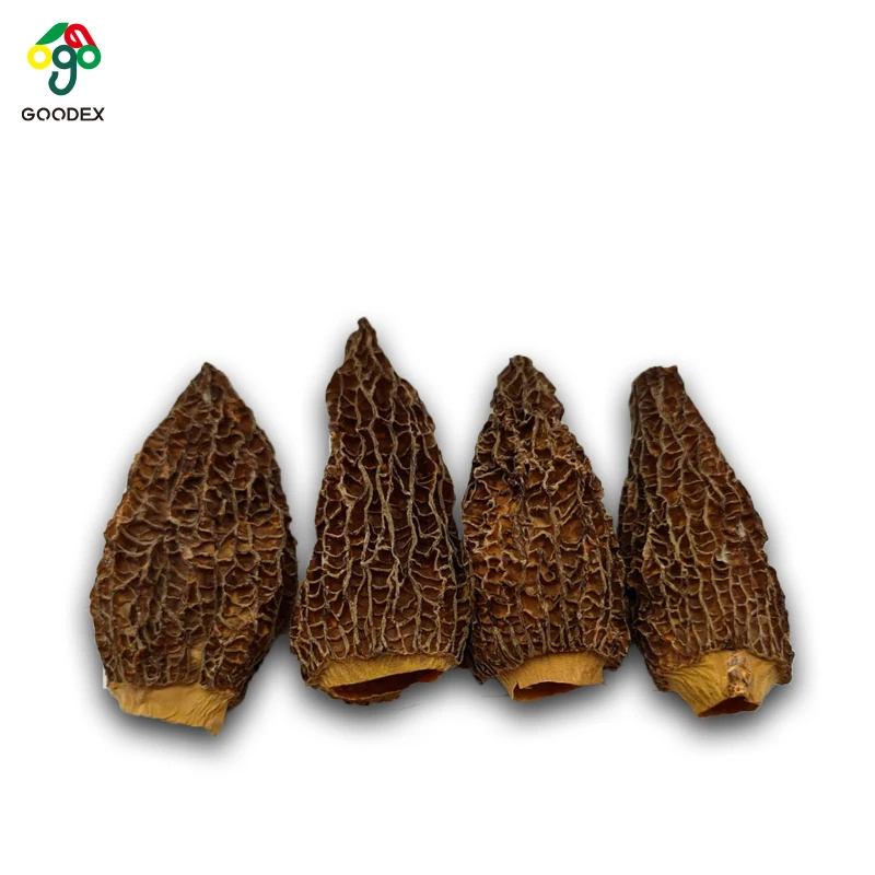 Cultivated Dried Morchella Conica , Morchella Mushroom