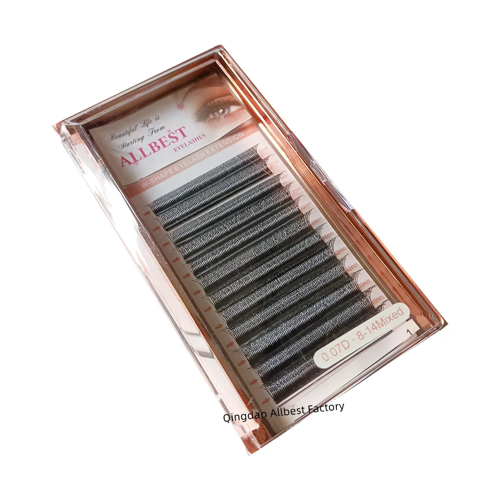 Factory Price Eyelash extensions W shape eyelash lash eyelash extensions 0.07mm c D curl with private label