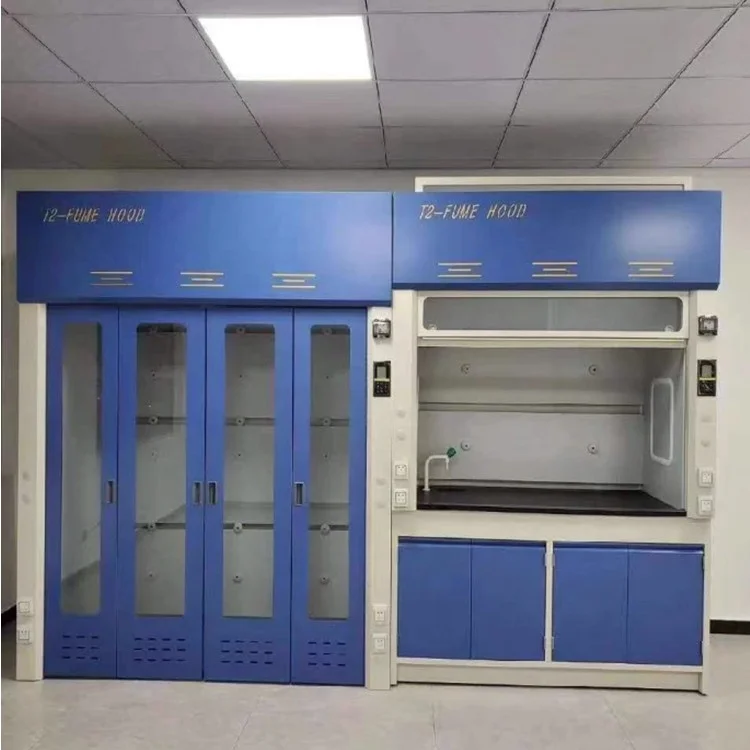 Hot Sale Chemistry Fume Hood Air Cleaning Equipment Laminar Flow Cabinet Clean Bench School Laboratory for