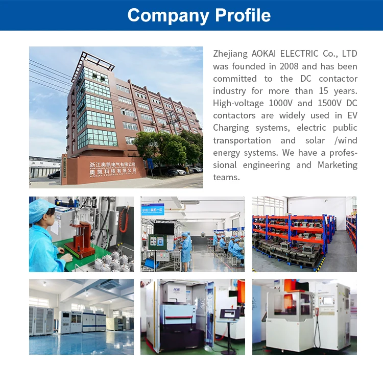 7 Company Profile 