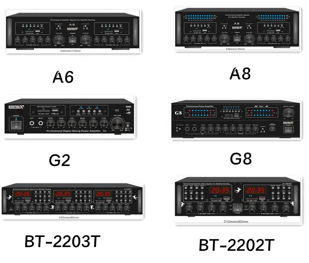 Professional High Power 100W*2  Digital Effect Processor EQ Equalizer Home Audio Amplifier