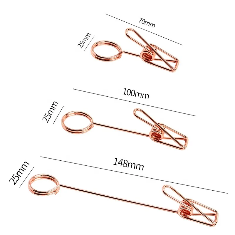 Stainless Steel Wire Memo Clips Hanging Type Memo Note clips Photo Clips