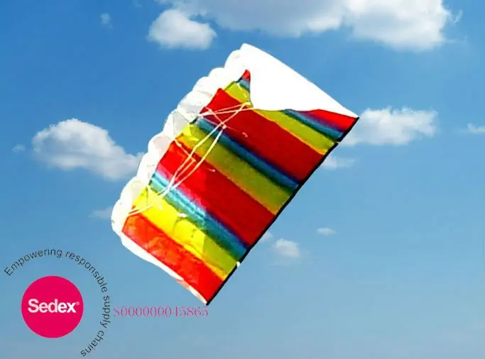 Inflatable Power Kite from the kite factory