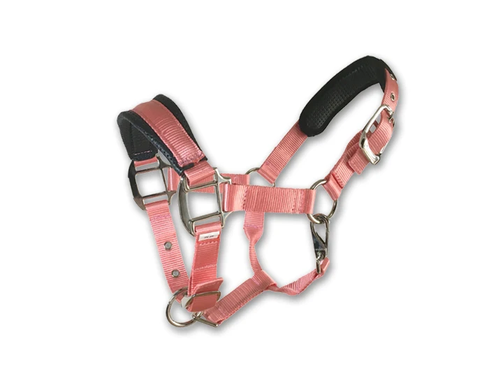 Horse Accessories Wholesale High Quality Halter Padding Manufacturer Custom Tedron