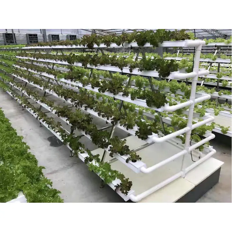 
2020 industrial greenhouse nft hydroponics system vertical for sale 