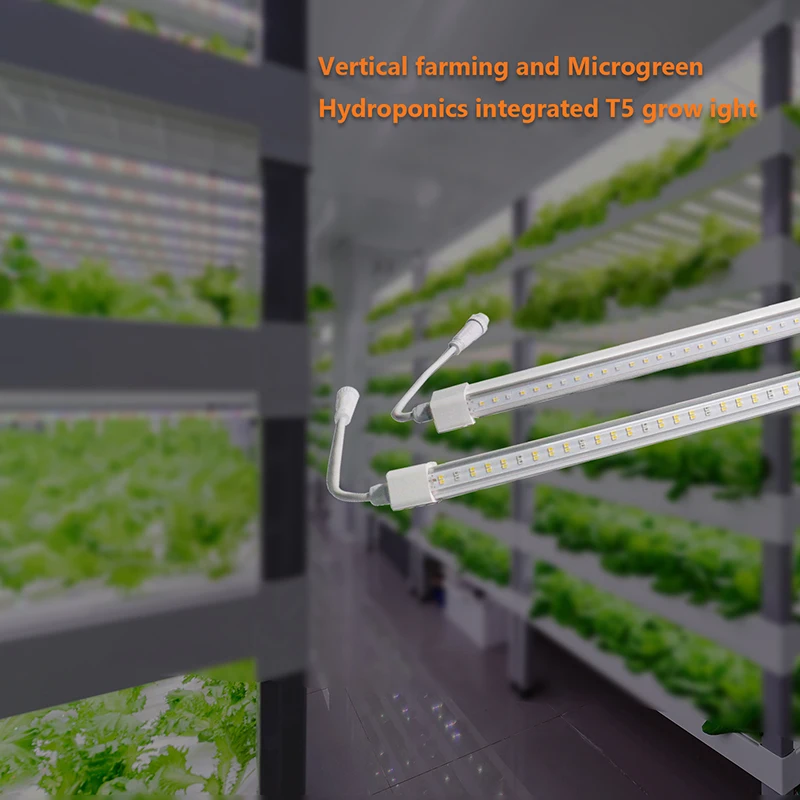 Vertical Farm Equipment Aeroponics System Hydroponic Grow Light Full Spectrum Led Grow Lights for Indoor Plants
