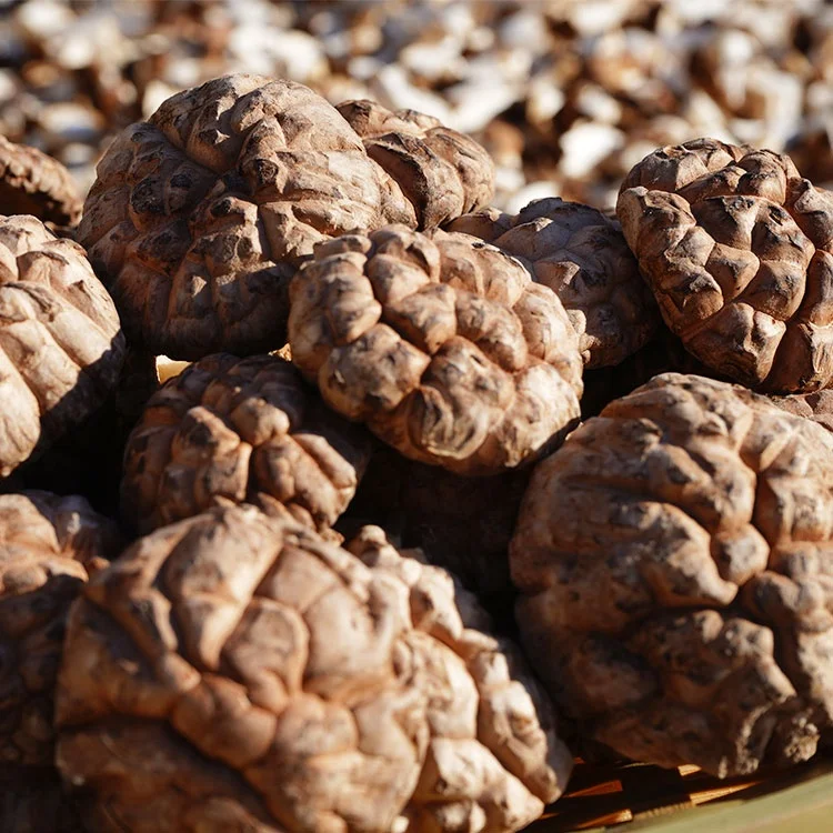 Хит продаж 2021, белые или коричневые сушеные грибы шиитаке оптом