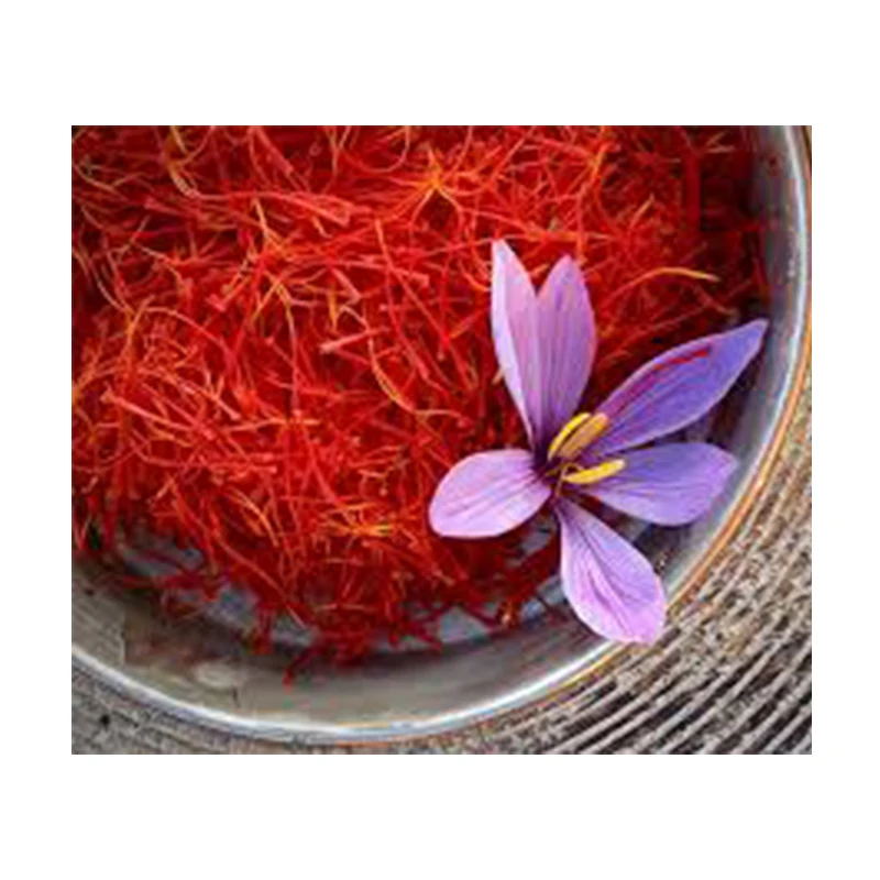 Wholesale High Quality Organic Simonfish Amsterdam Good Price Delicious Health Care Products Plants Dried Saffron Crocus