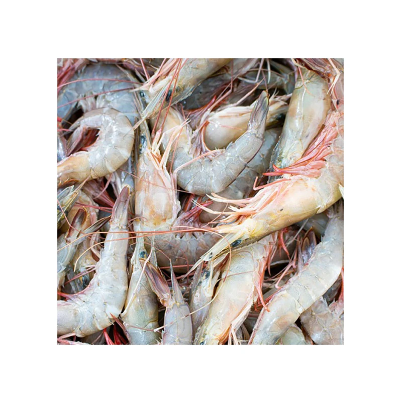Лидер продаж, свежие замороженные креветки белого цвета по хорошей заводской цене из Эквадора