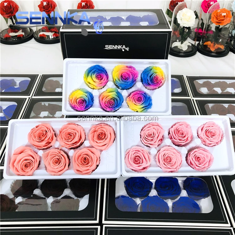 2019 best price China supplier preserved rainbow roses wholesale eternity roses for Christmas