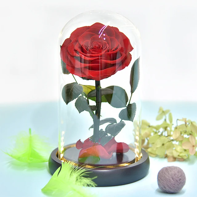 
Ammy Rose flower glass cover starry sky lighting home decoration holiday essential gift 
