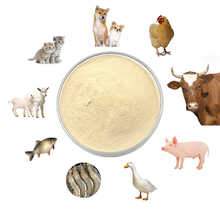Durable And Low Price Feed Grade Additives Lactobacillus Casei Probiotic Powder
