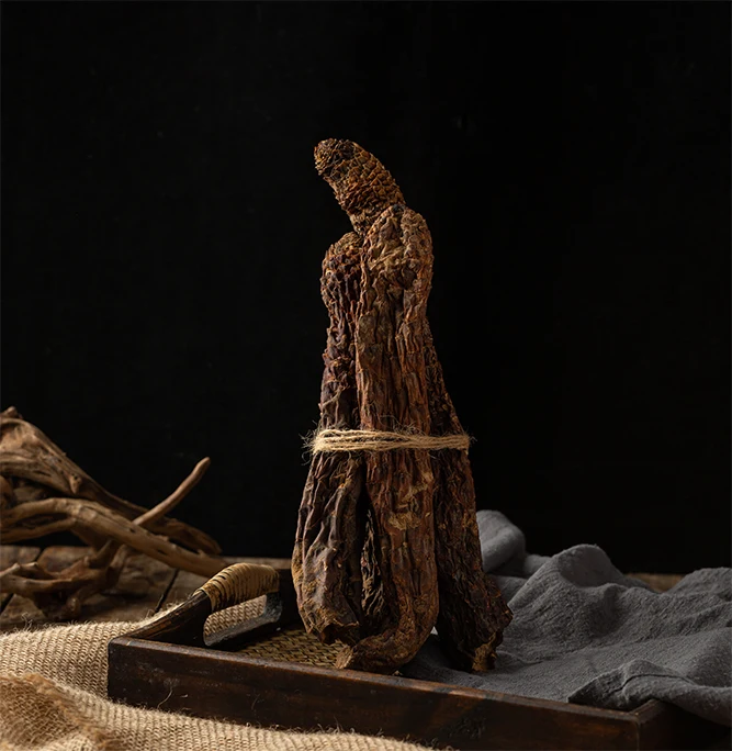 EU Standard 40:1 Cistanche Tubulosa Extract Nature Supplement 20% Glycoside 8% Echinacoside Cistanche For Body Building