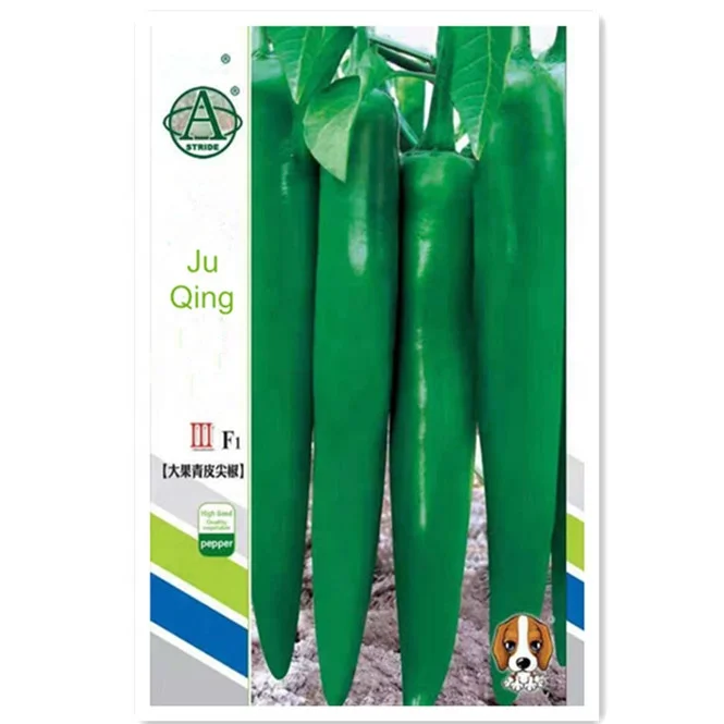 China Best  Quality F1 Hybrid Big Long Hot Pepper Chili  Vegetable Seeds for Planting