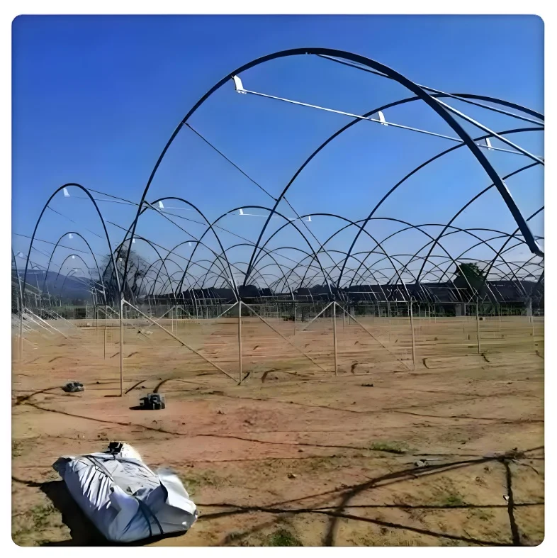 Commercial Large Steel PE Greenhouse Single Square Poly Film Arch Tunnel Type Stable Agriculture Vegetable Rain Shelter Plants
