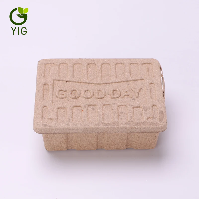 
Biodegradable Pulp And Paper Packaging 