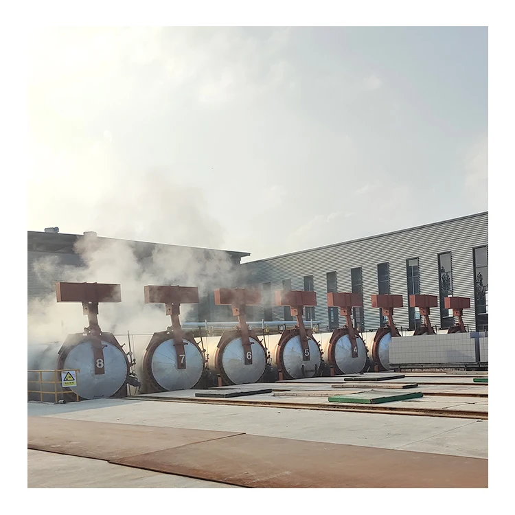 200000m3 /year aac block autoclave and aac machine and aac block machine