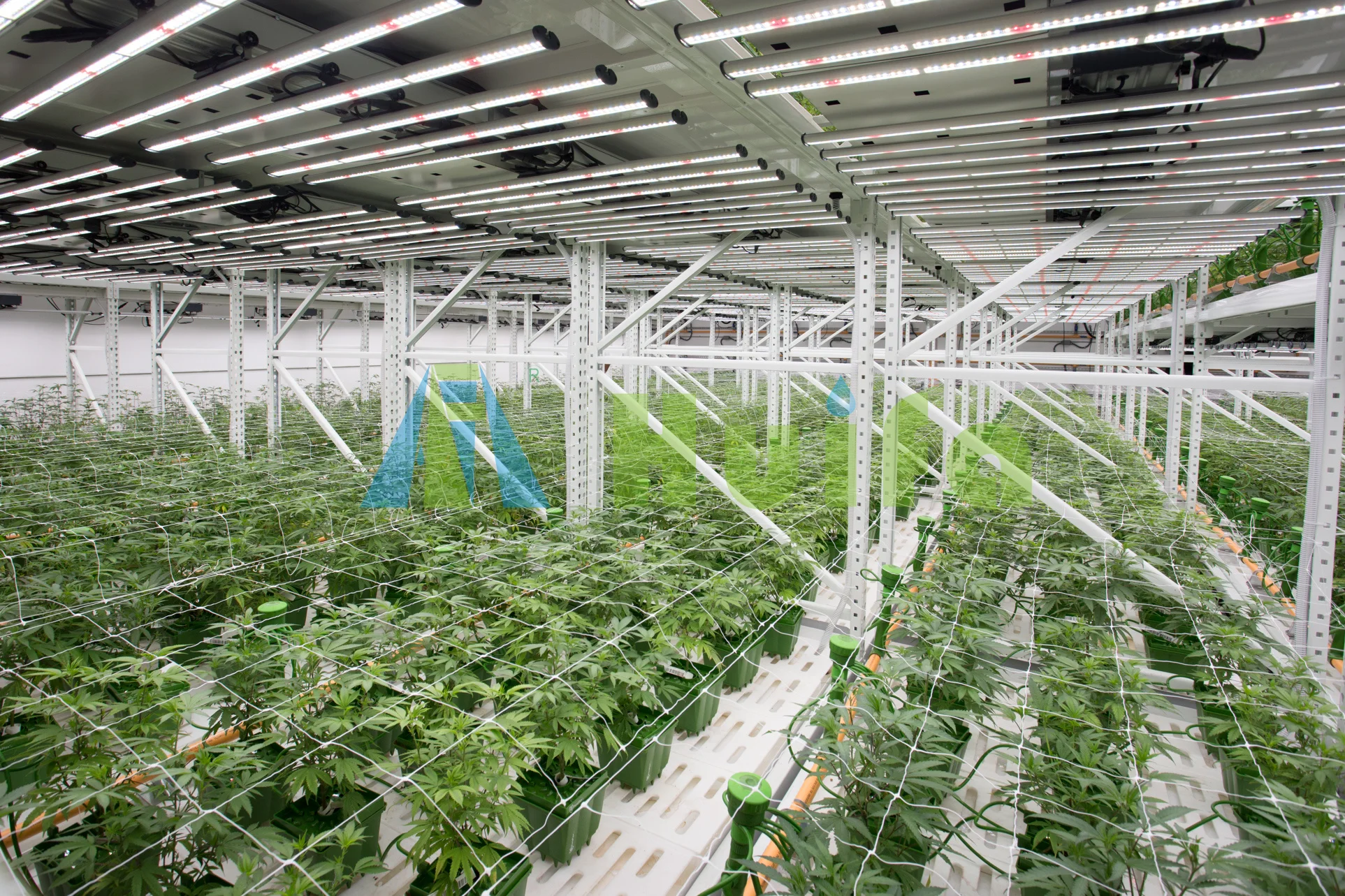 Vertical Ebb And Flow Table Agricultural Movable Seed Tray for greenhouse grow benches racks