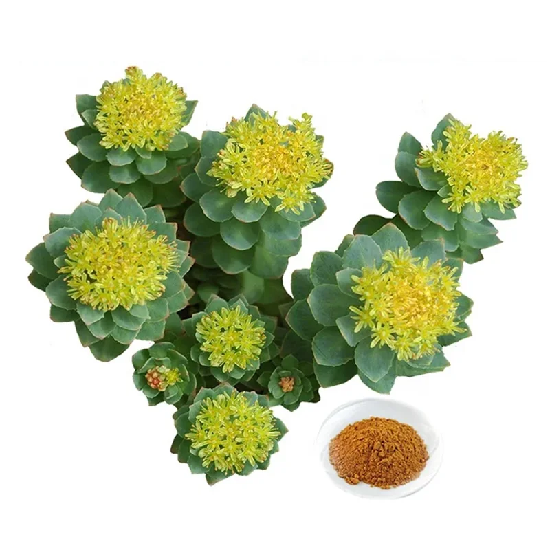 Травяной экстракт салидрозиды 1% 3% 5% Rhodiola Crenulata порошок для лечебной добавки