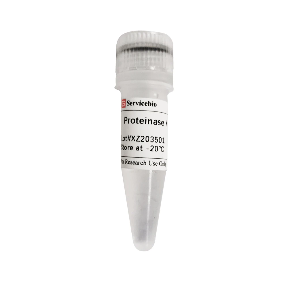 Specific Reagents DNA Extraction Reagent High Purity 30 Ada Proteinase K for Protein Digestion 39450-01-6 Servicebio 254-457-8
