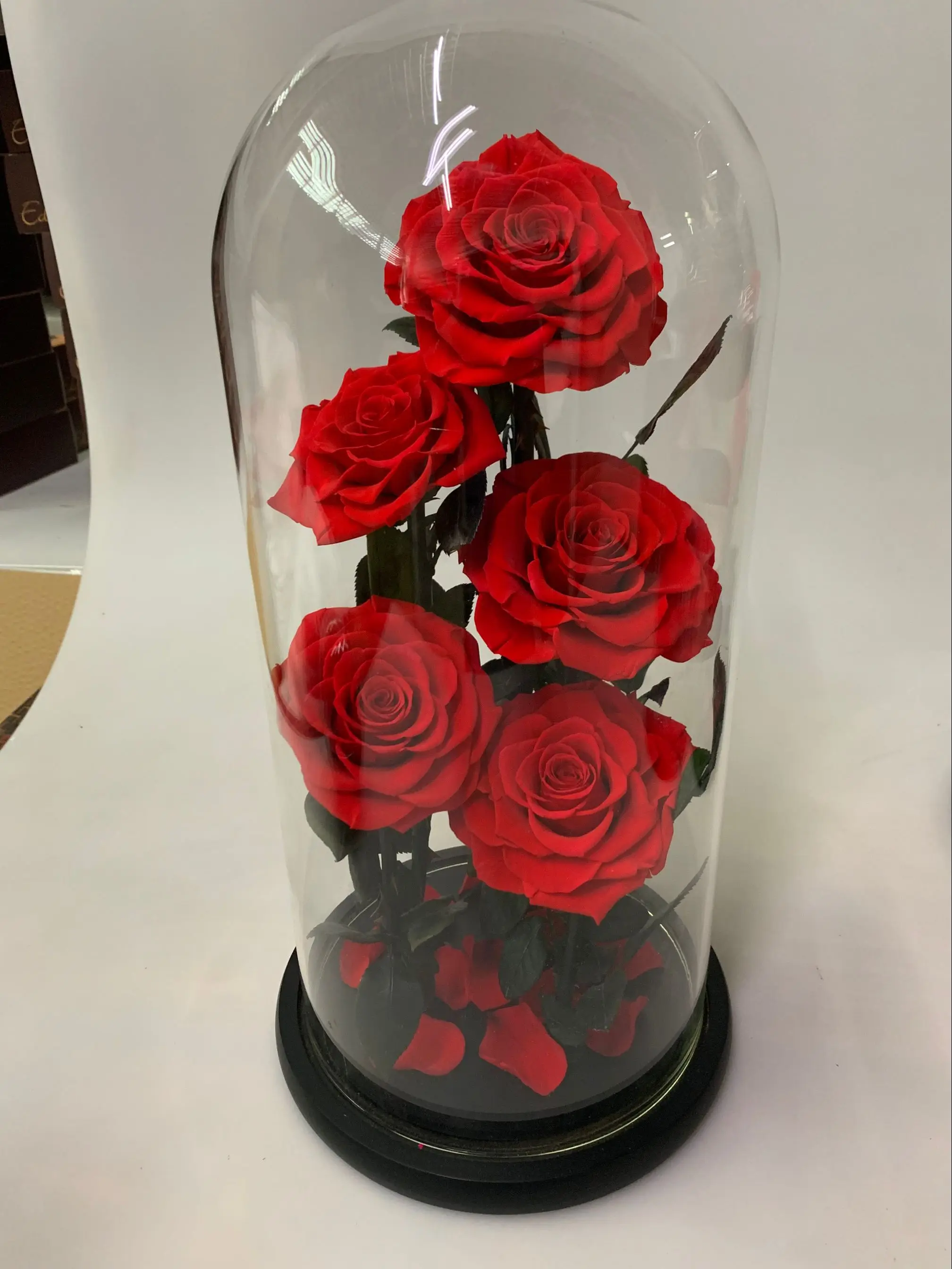 Large preserved flower rose in glass bottle and shell