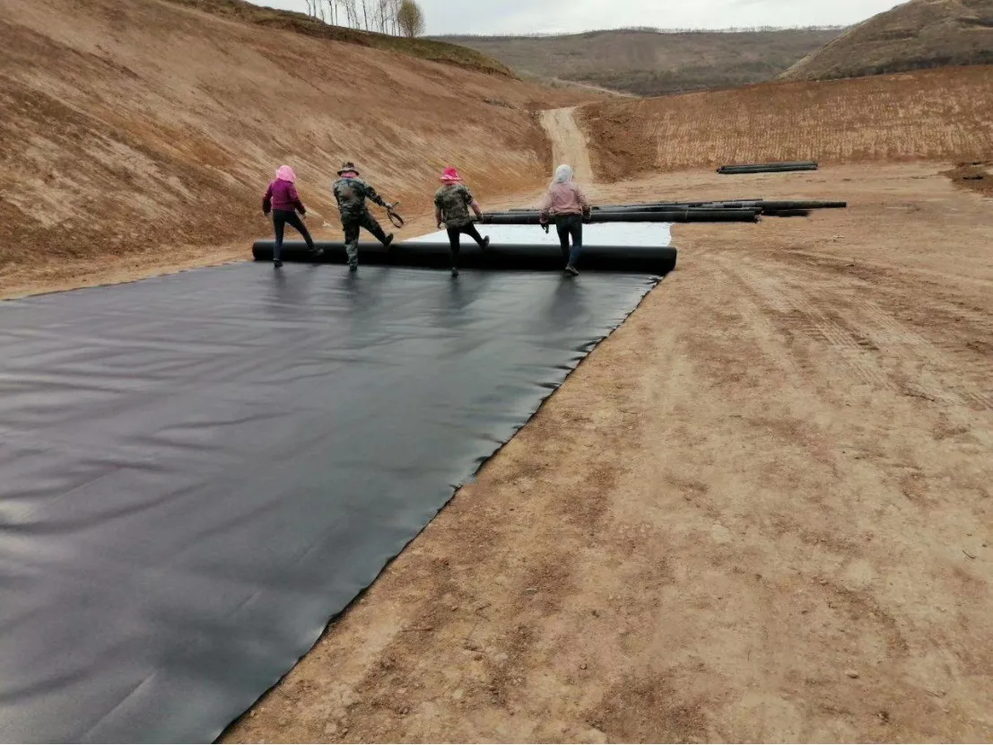 0.5mm Fish Farm Pond Liner 0.75mm Waterproof Geomembranas 1mm ASTM HDPE Geomembrane fish hatchery in geomembranes