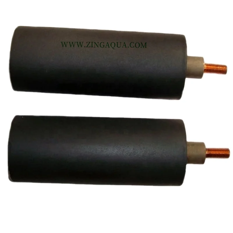 Ruthenium Iridium Coated Anodes Dsa Titanium Anode electrolysis cell  For Sodium Hypochlorite Generator make in China