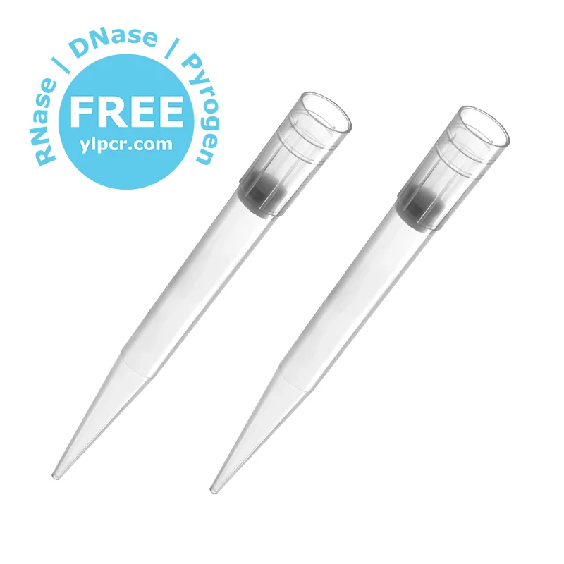 Oem Odm Universal 10 20 100 200 1000 1250 UL Sterile Plastic Disposable Micro Pipette Tips With Filter