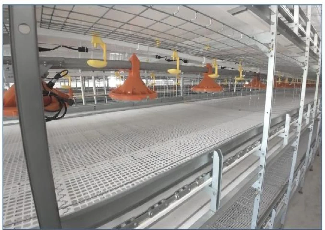 High Quality Automatic Chicken Cage System Laying Hen Broiler Chicken Cage For Chook House