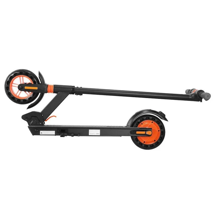 2 wheels Electric Scooter with  Brushless DC Motor Aluminum-alloy Electric Scooter