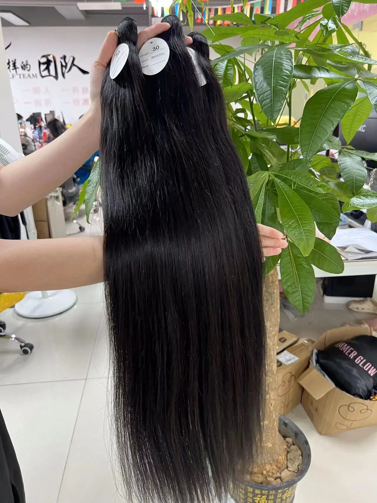 Raw Vietnamese Burmese Curly hair bundles vendors