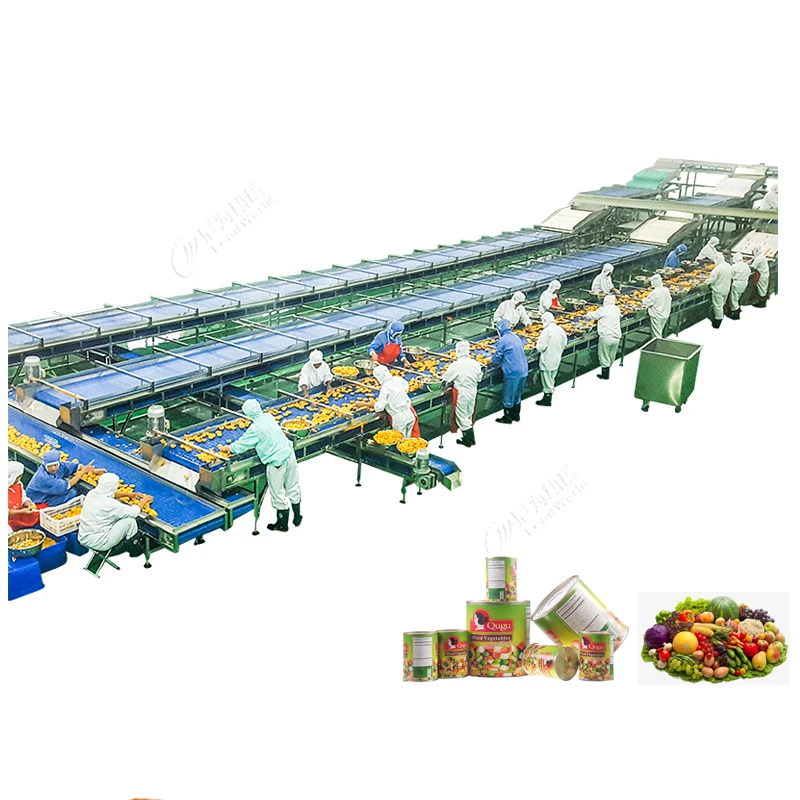 Complete Canned Gherkins Cassava Production Line Cucumber Canning Processing Line