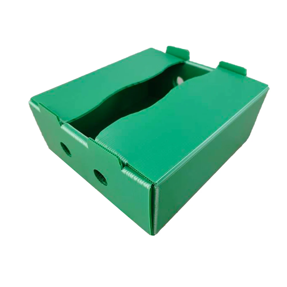 Polypropylene plastic box organic vegetable foldable honeycomb pp grape packaging banana plain corrugated box for fruit