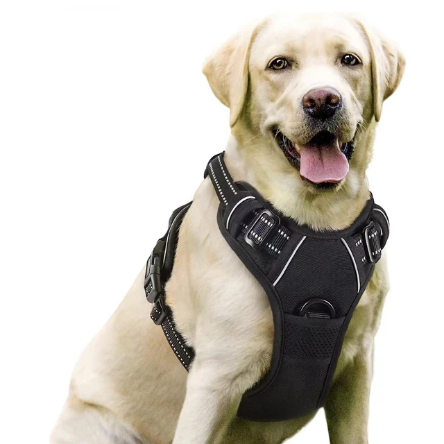 Оптовая продажа большой xl светоотражающий t дышащий жгут для домашних животных без тяги для собак набор с индивидуальным логотипом