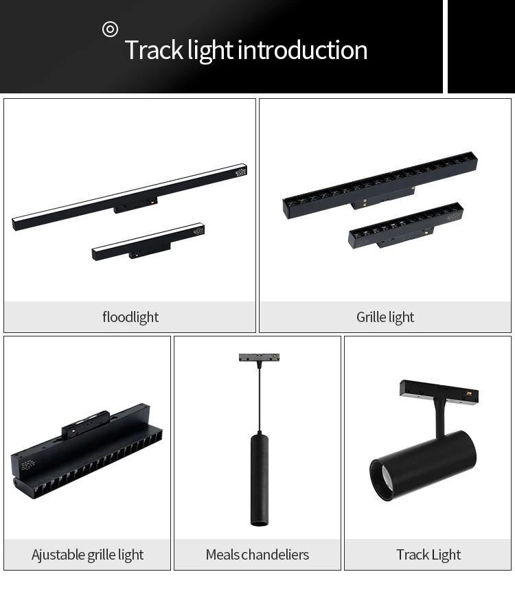 2022 New Trend Modern Surface mounted 48V Low Voltage Track System Magnet Light LED Magnetic Track Light For Hotel