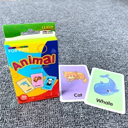 wholesale ready in stock hot sale educational kids flash cards fruits colours animals shape body parts telling time